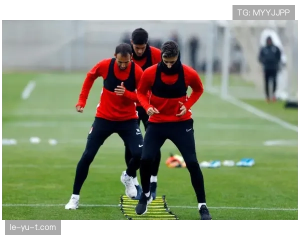 格拉纳达阵容深度显著增强，新赛季表现备受期待