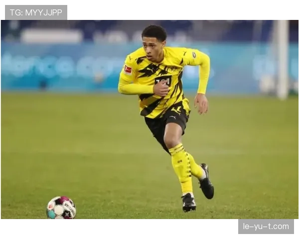 贝林厄姆表现稳定性关键因素与趋势分析 贝林厄姆表现稳定性关键因素与趋势分析